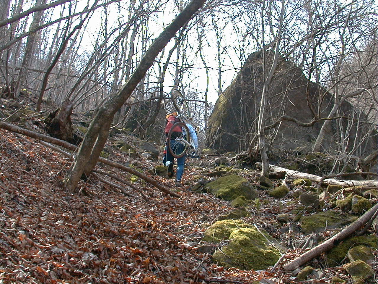 むかし道、再び