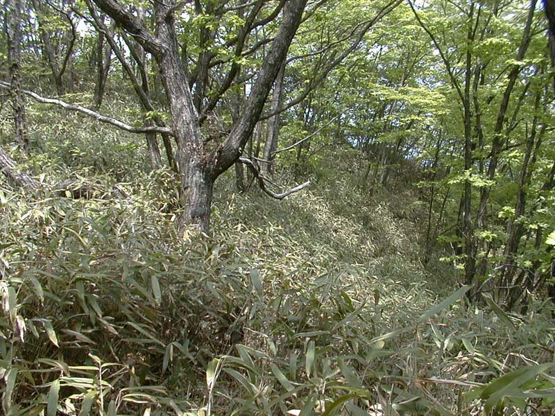 群馬側へ続く道・・のはず