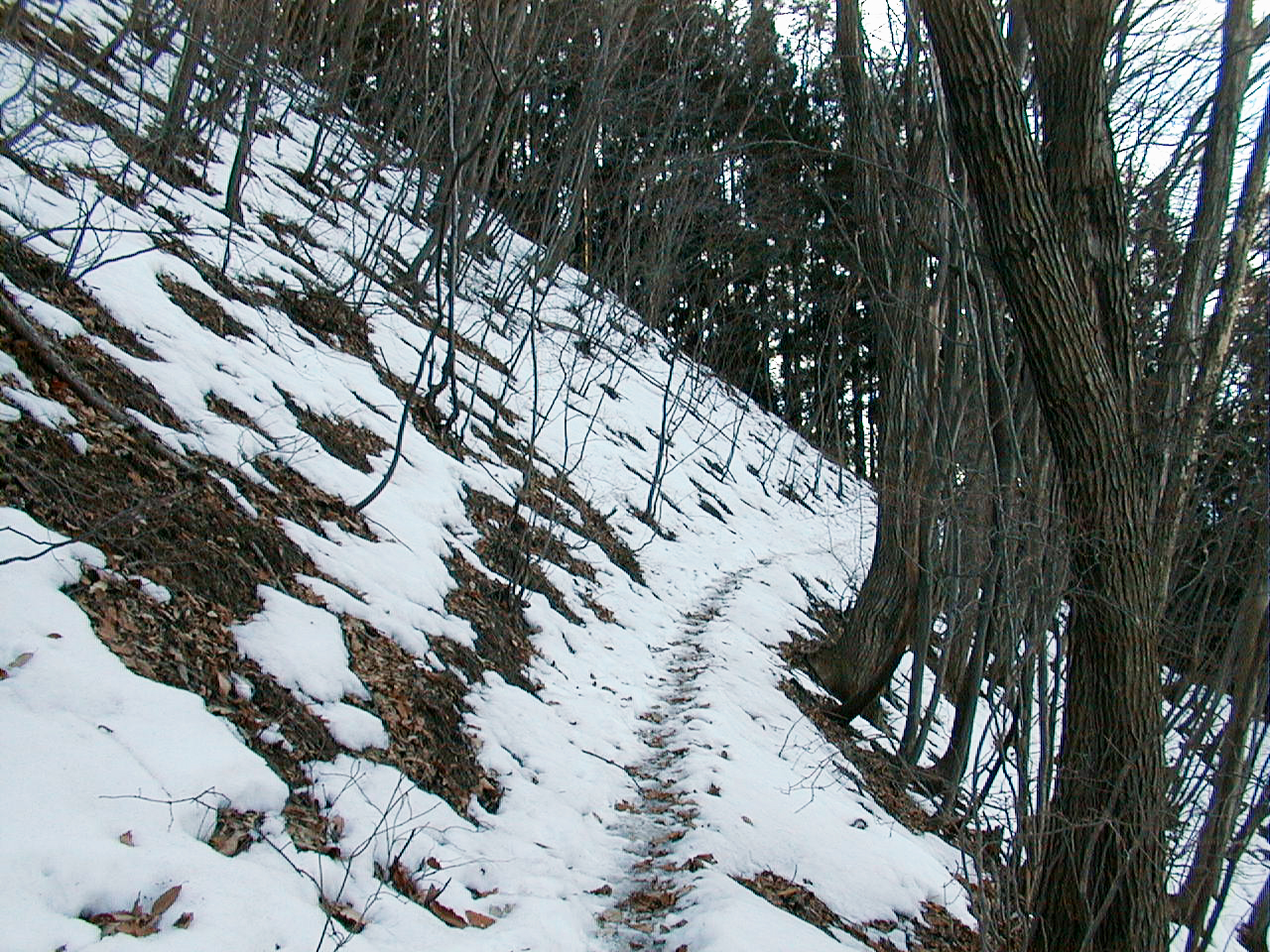 こっちの道の方が・・