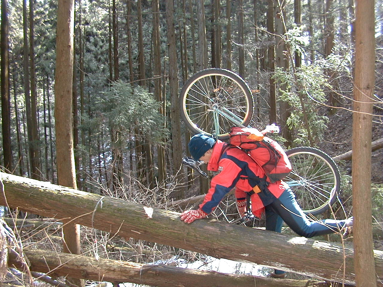 こんなのばっかり