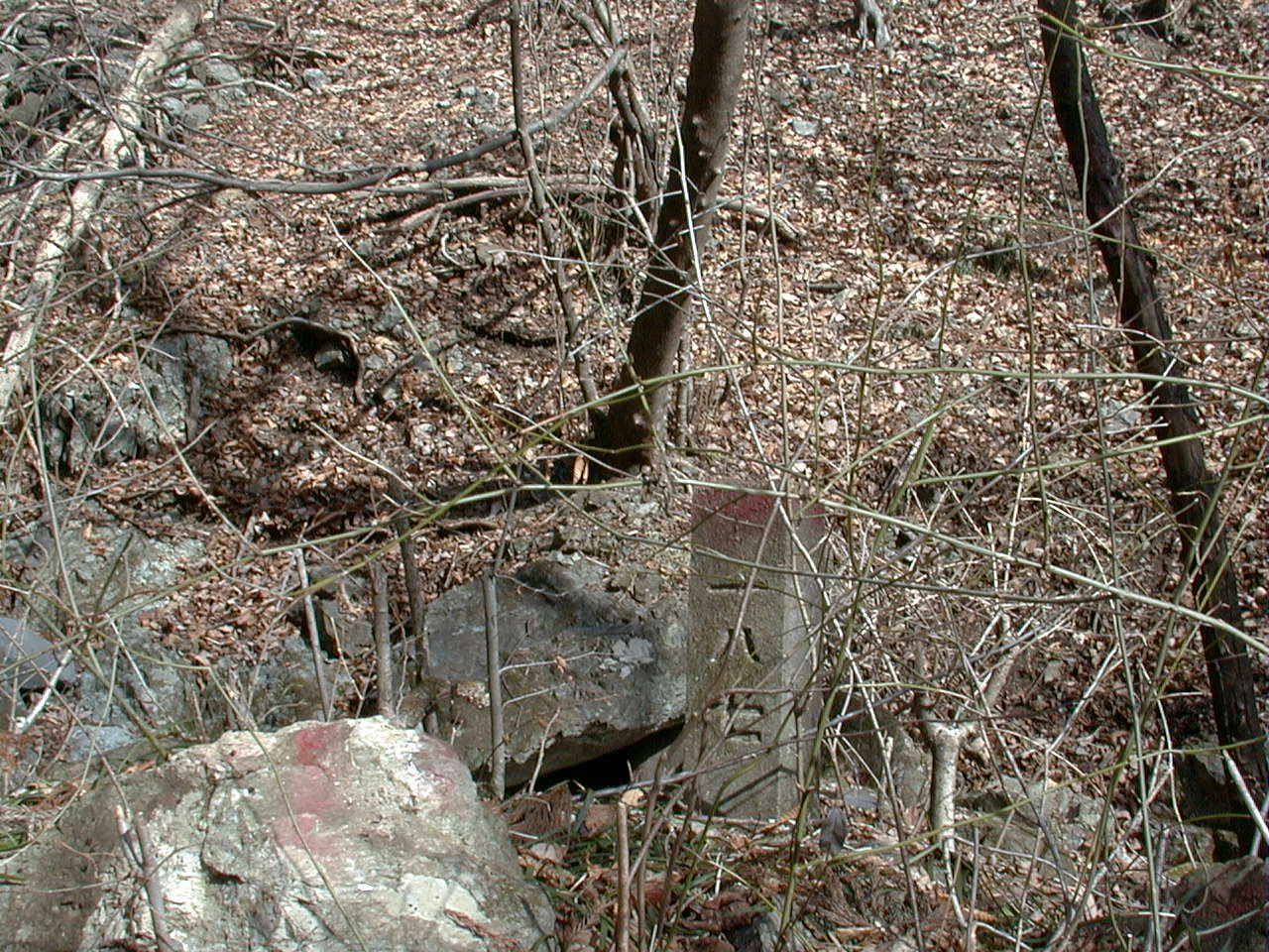 山の中の目印