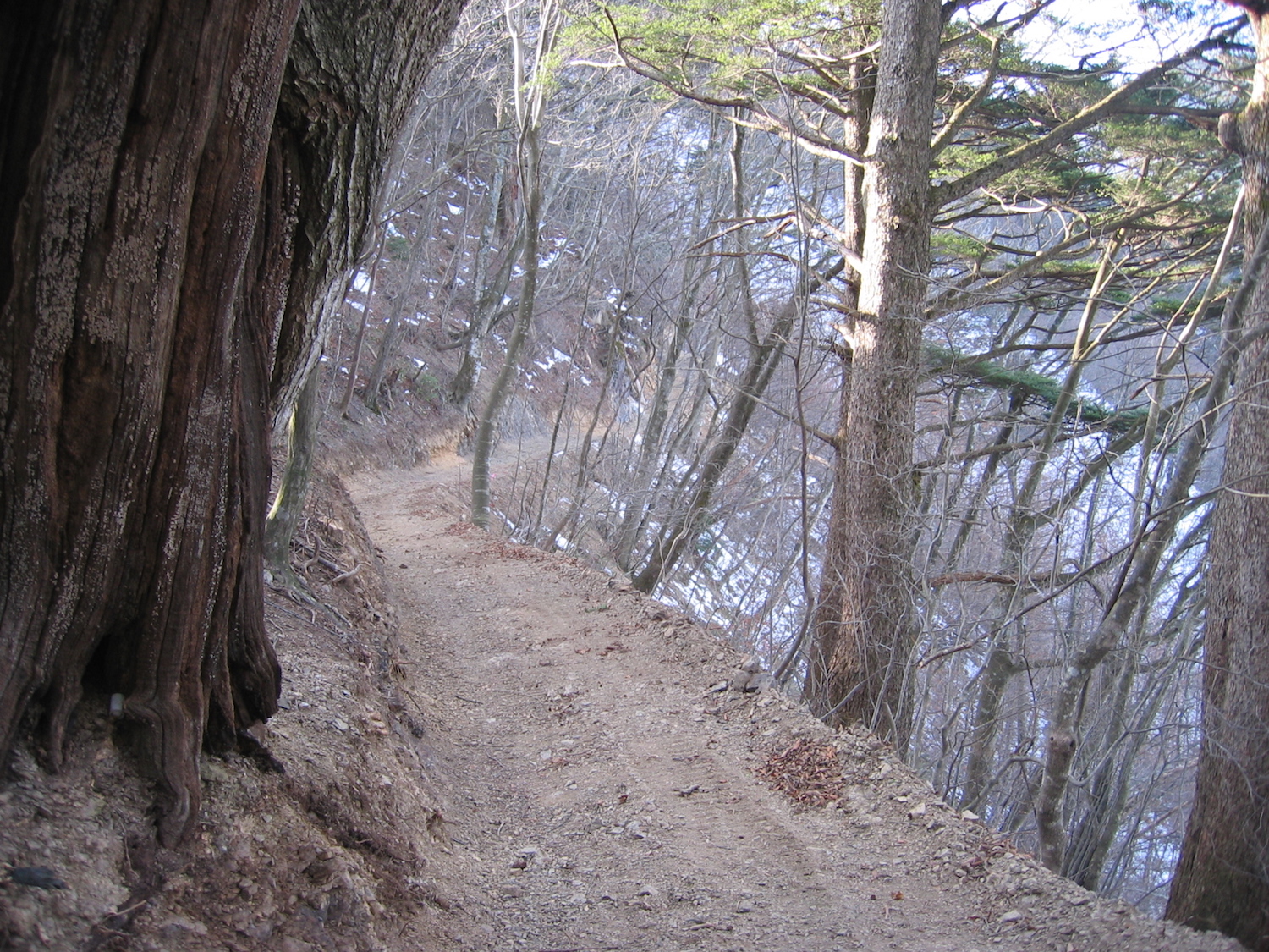 社壇乗越から馬道
