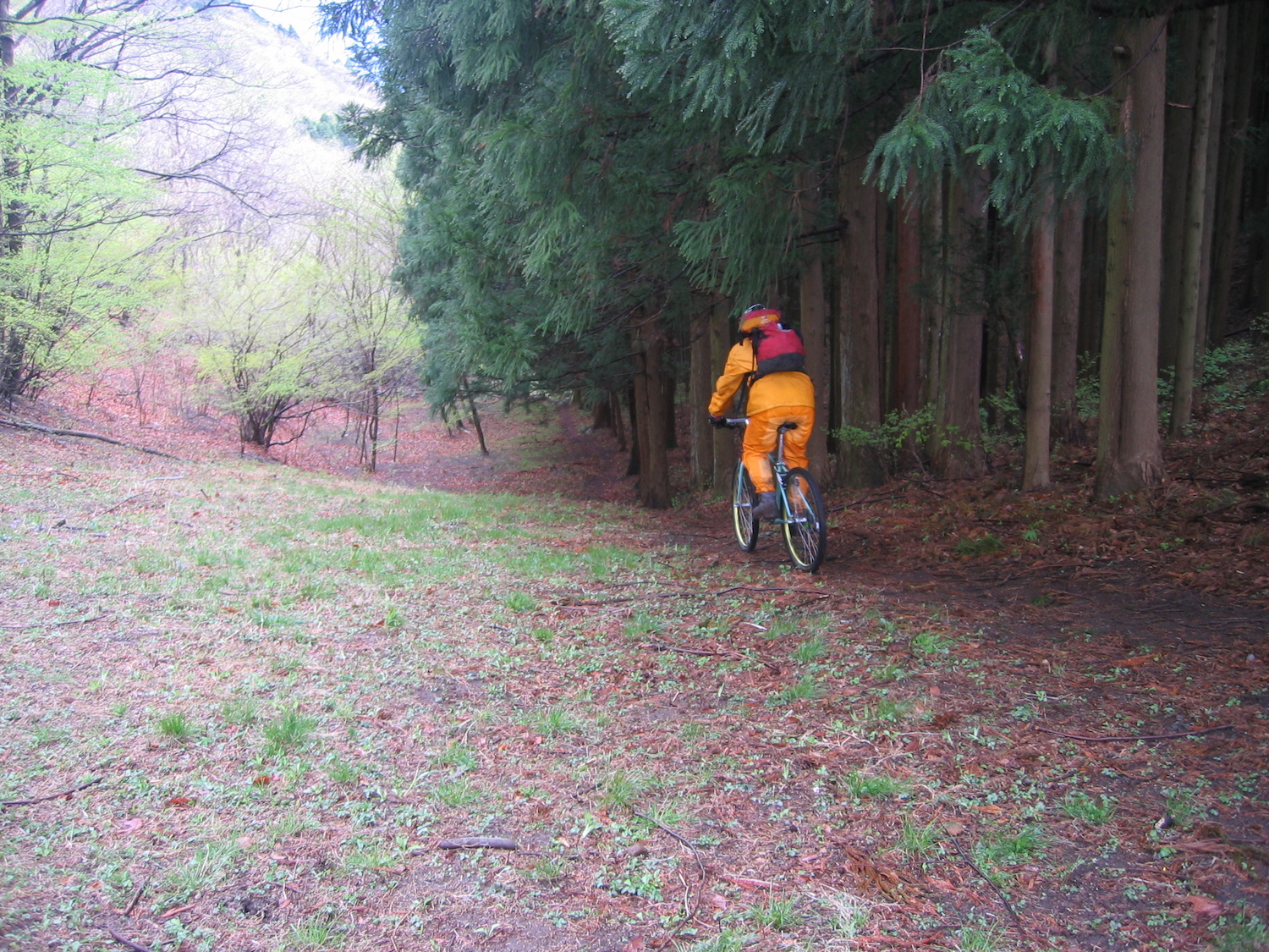 マメガタ峠からは極上の道